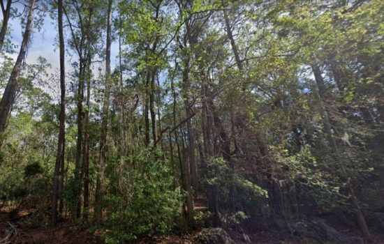REDUCED 5.9 Acres Residential Inland Island Lot in Jacksonville, FL, Duval County – DUVA-IRFWGTME