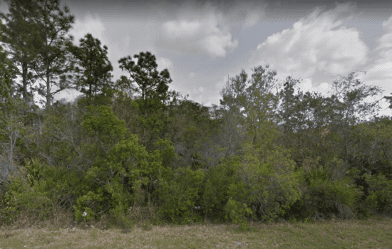 Agricultural Opportunity One-acre Lot Located in Rocket City, Orlando, FL. ORAN-DNQEYF8X-A