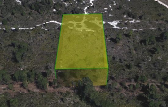 1.25 Acre Land General Farming and Agricultural –  Polk County, FL – POLK-KDE3G0YL