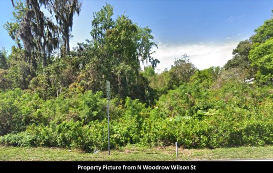 REDUCED 13 Acres of Residential and Commerical Land in Central Hillsborough County, Rezone Opportunity! Hill-1923